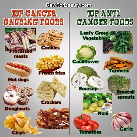 what is fudge cancer|Cancer Causing Foods: 6 Foods That May Increase Cancer Risk .
